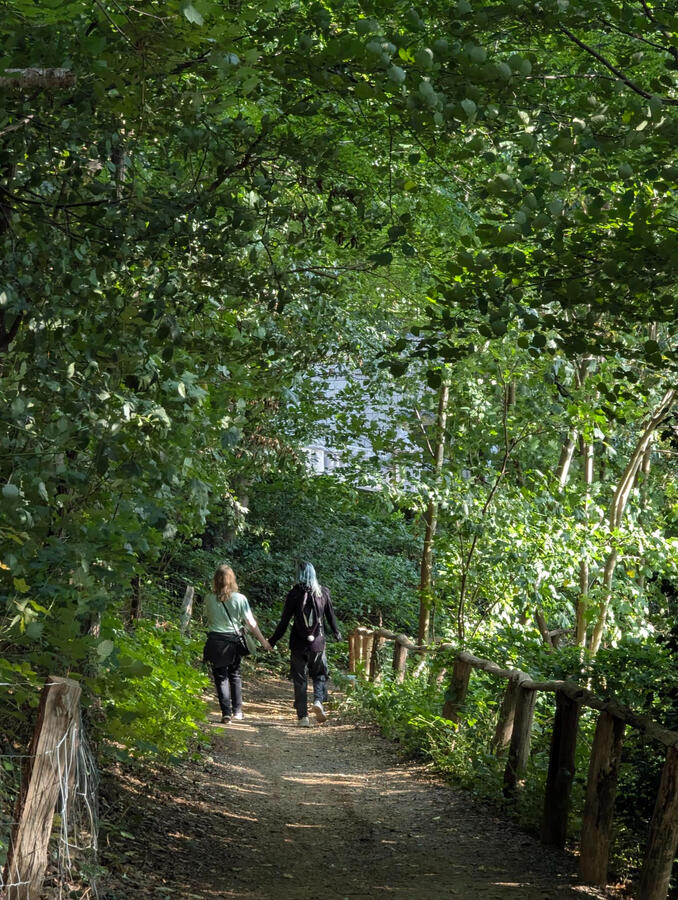 Another photo of Jade and Mia in the forest. They are holding hands and walking away from the camera on a path that is warmly sunlit from the side.